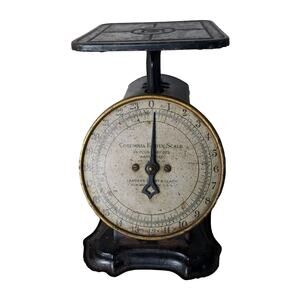 Antique Columbia Family Scale 24 Pounds Farmhouse Rustic Kitchen Home Decor